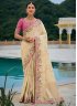 Mod Zari Silk Contemporary Saree