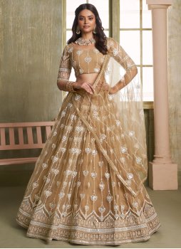 Net Embroidered A Line Lehenga Choli in Khaki